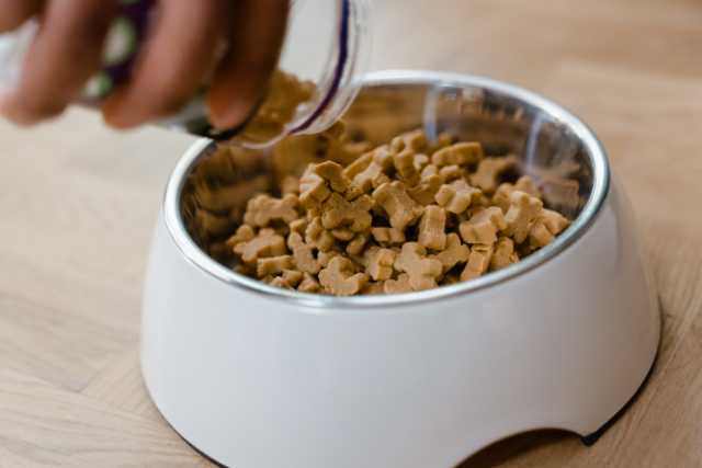 Chicken Meal in Dog Food