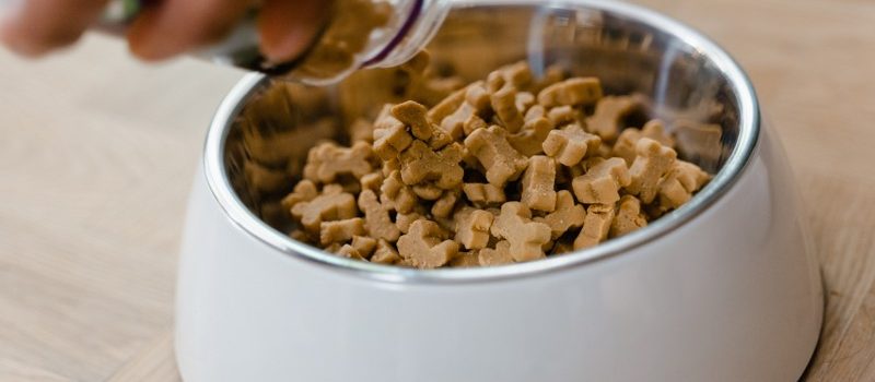 Difference Between Puppy and Adult Dog Food
